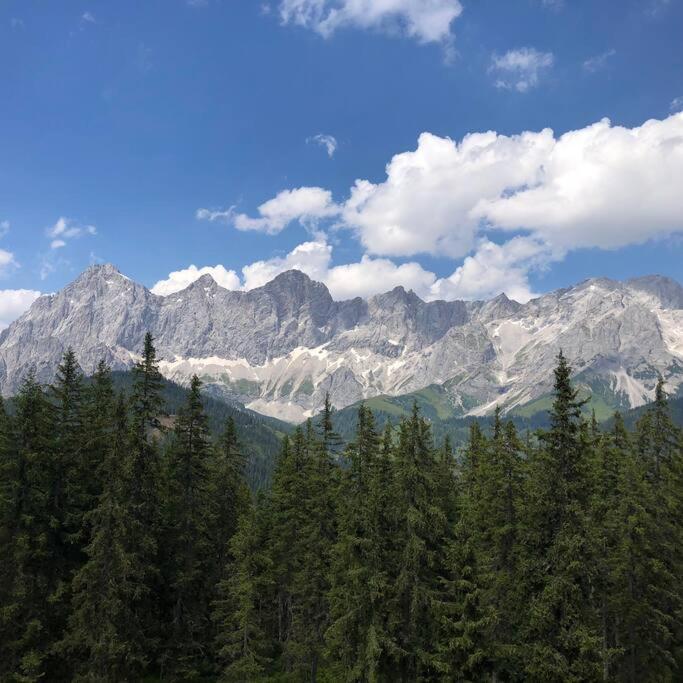 Family Appartment - Dachstein View Ramsau am Dachstein Exteriör bild